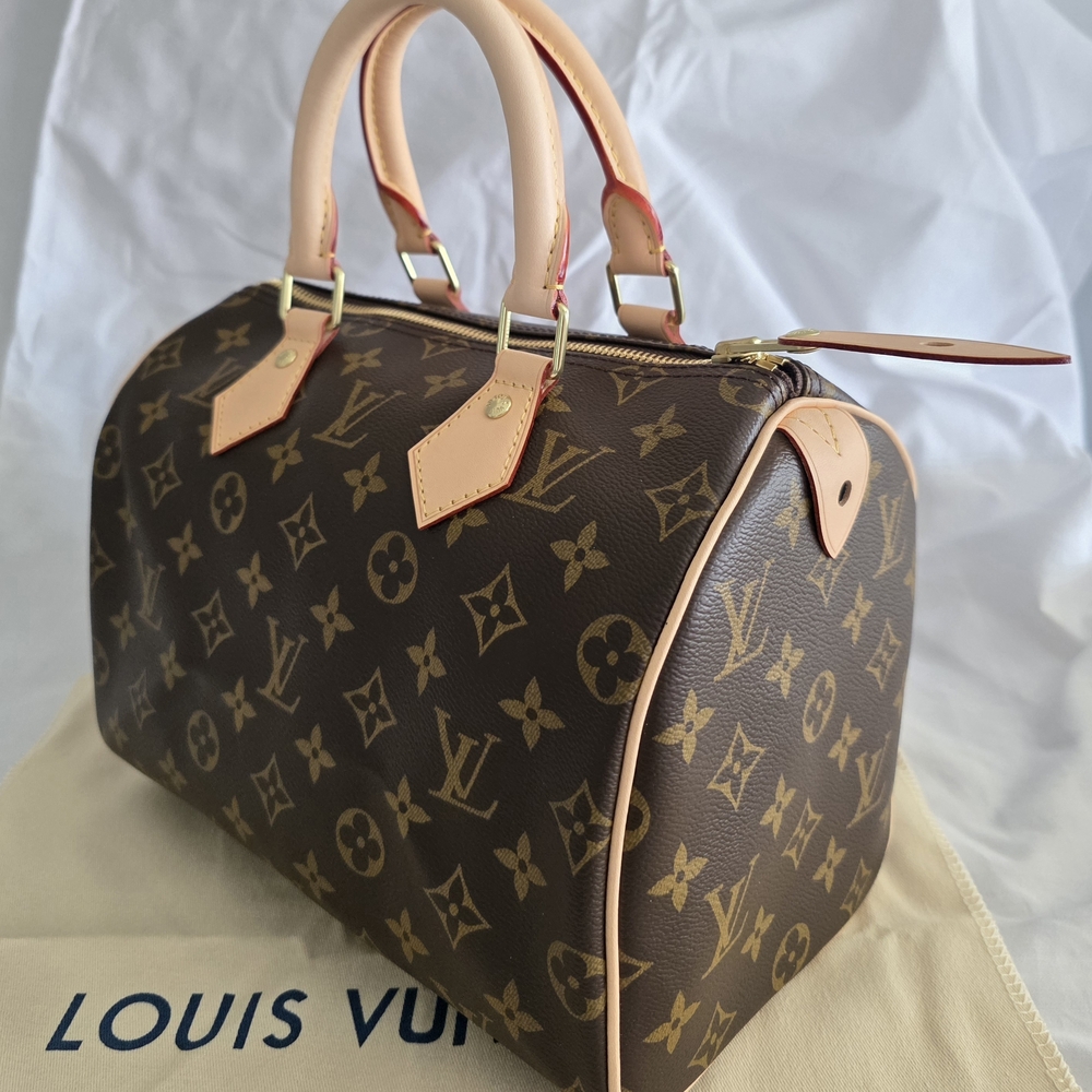 LV Monogram Canvas Speedy 25